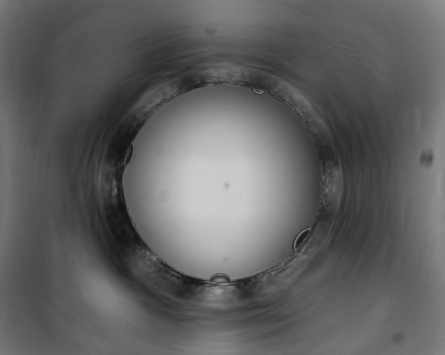 X0000100500333200806201720