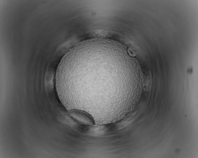 X0000100500334200806201720