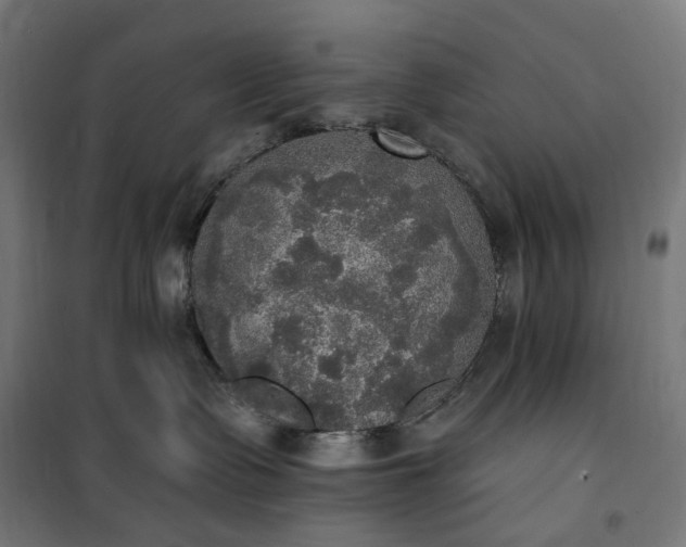 X0000100500335200806201720