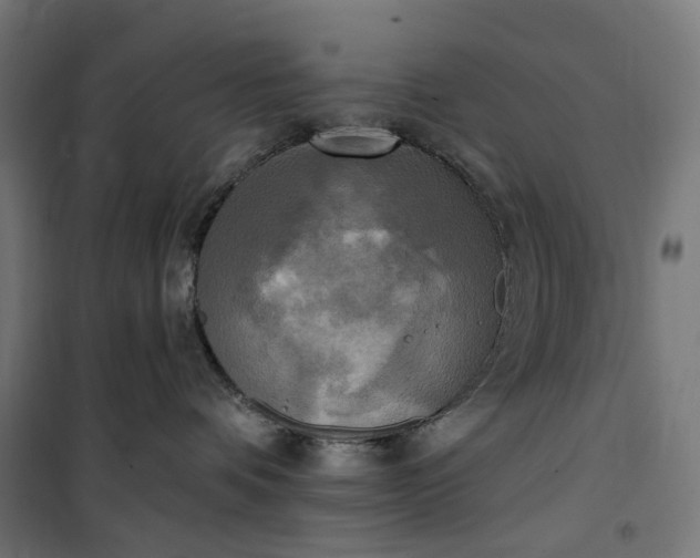 X0000100500336200806201720