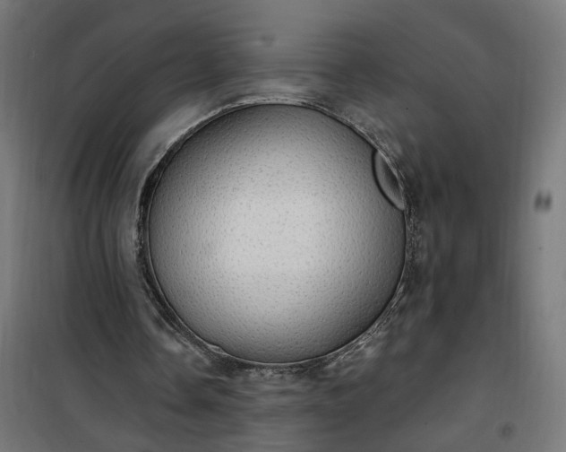 X0000100500338200806201720