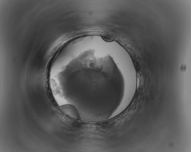 X0000100500339200806201720