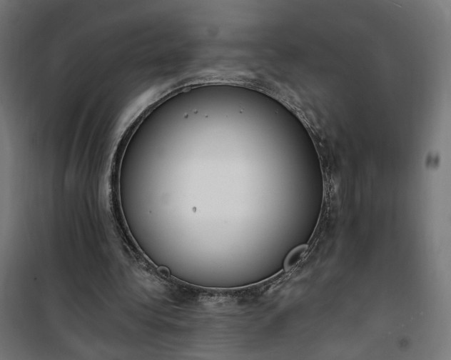 X0000100500340200806201720