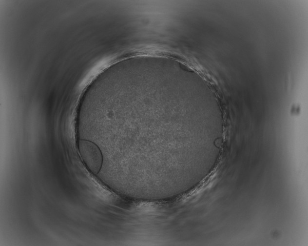 X0000100500341200806201720