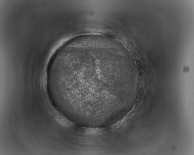 X0000100500342200806201720