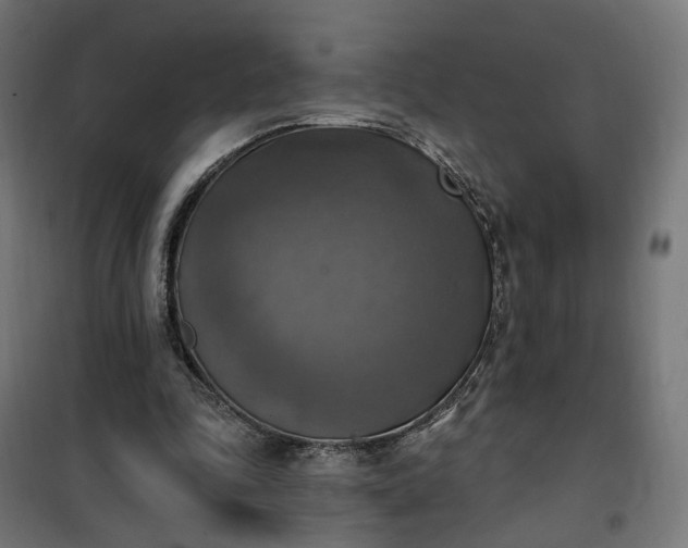 X0000100500343200806201720