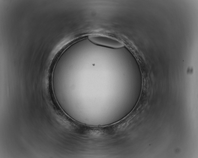 X0000100500344200806201720