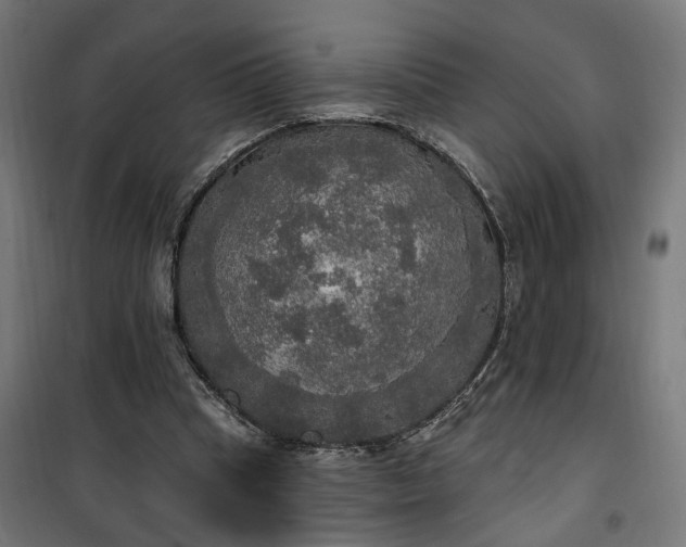 X0000100500345200806201720