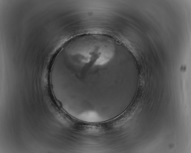 X0000100500347200806201720