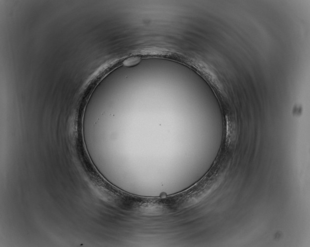 X0000100500348200806201720