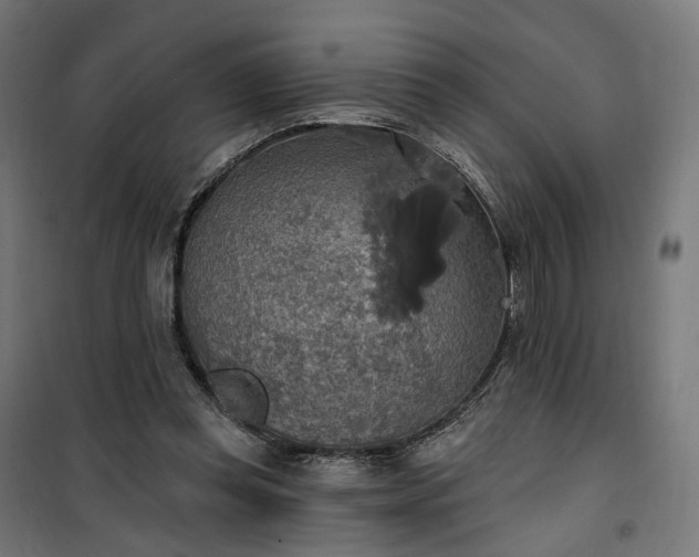 X0000100500349200806201720