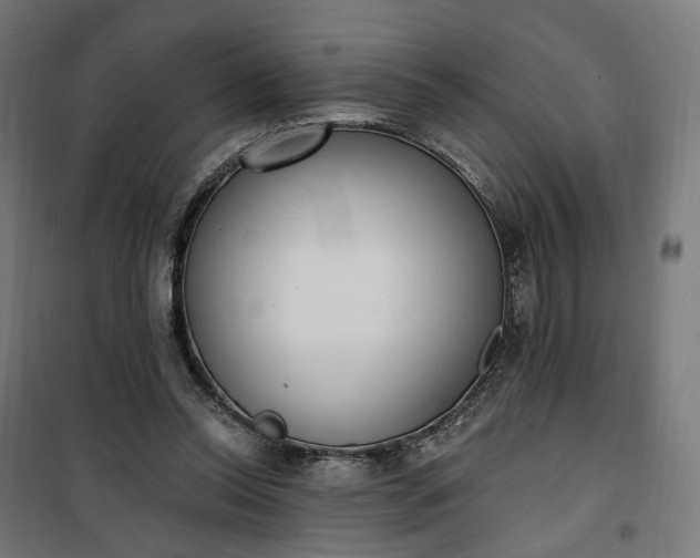 X0000100500350200806201720