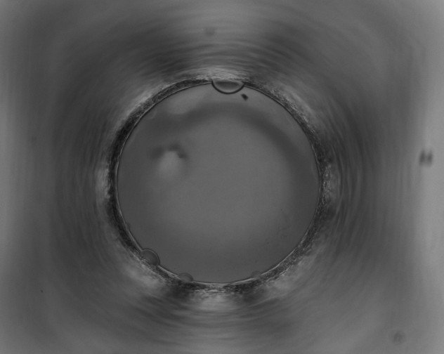 X0000100500351200806201720