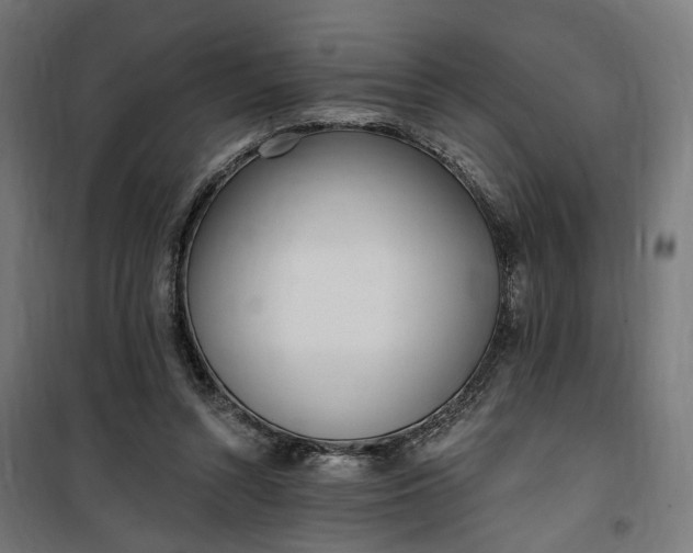 X0000100500352200806201720