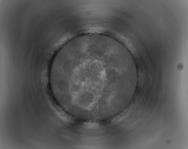 X0000100500354200806201720