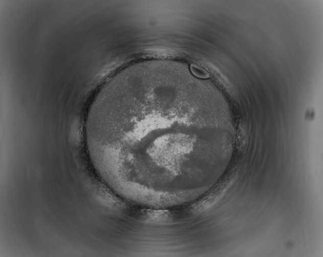 X0000100500355200806201720