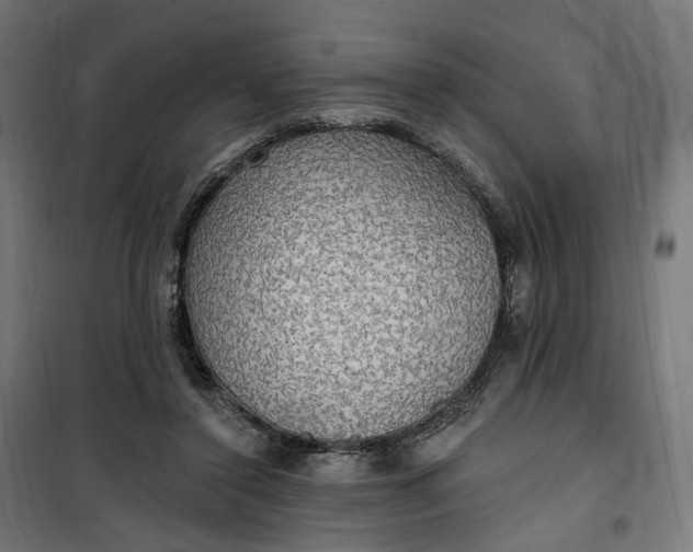 X0000100500356200806201720