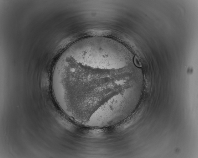 X0000100500357200806201720