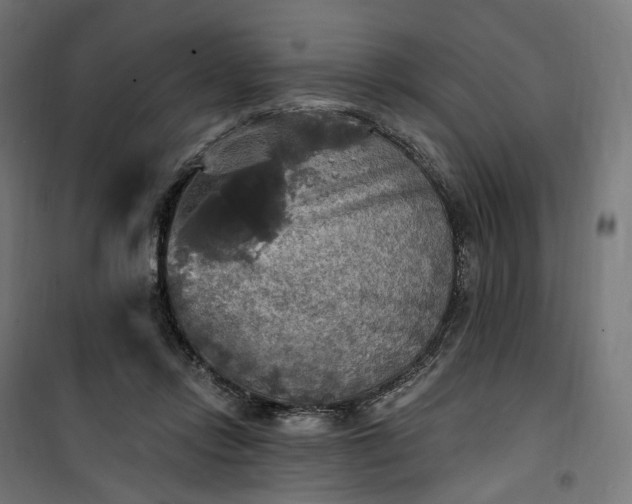 X0000100500358200806201720