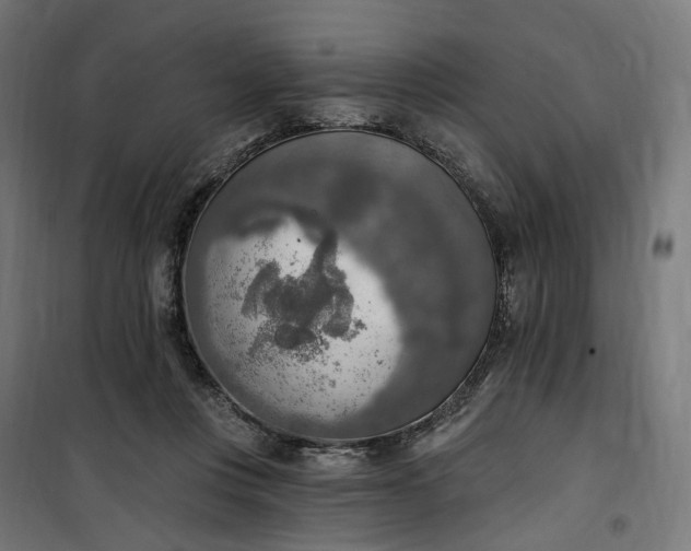 X0000100500359200806201720