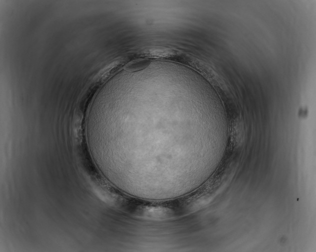 X0000100500360200806201720