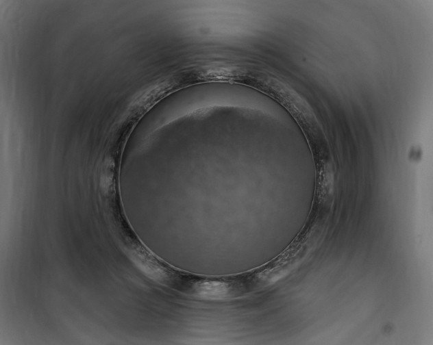 X0000100500361200806201720