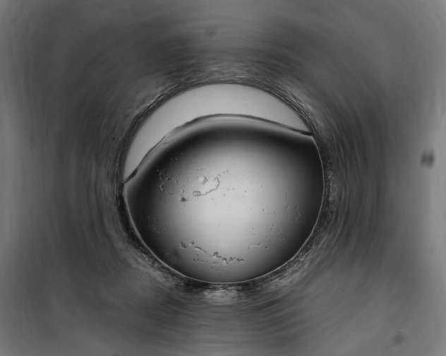 X0000100500362200806201720