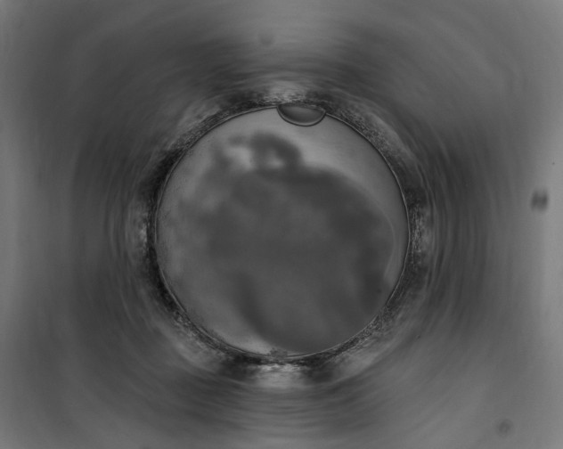 X0000100500363200806201720