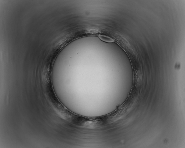 X0000100500364200806201720