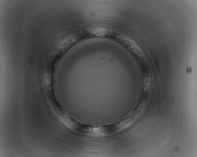 X0000100500365200806201720