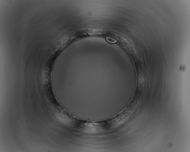 X0000100500367200806201720