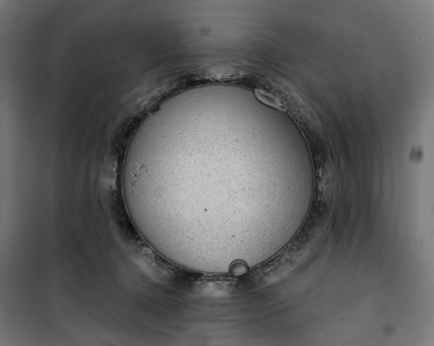 X0000100500368200806201720