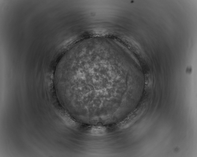 X0000100500369200806201720