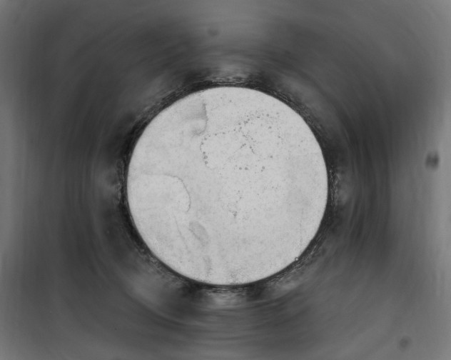 X0000100500370200806201720