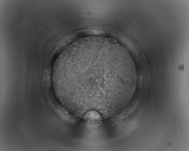 X0000100500373200806201720