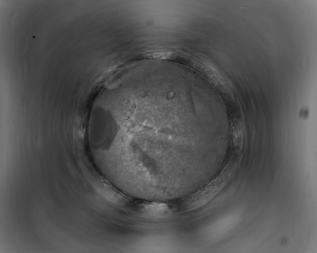 X0000100500374200806201720