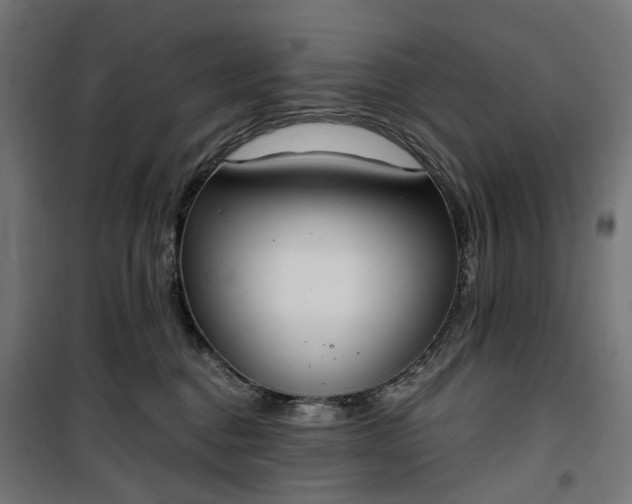 X0000100500376200806201720