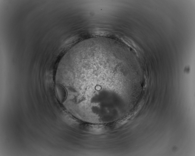 X0000100500377200806201720