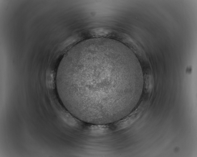 X0000100500378200806201720