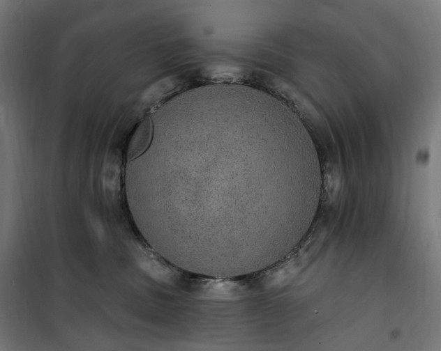 X0000100500379200806201720