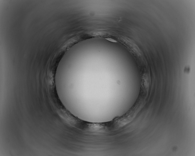 X0000100500380200806201720