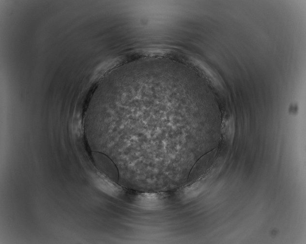 X0000100500381200806201720