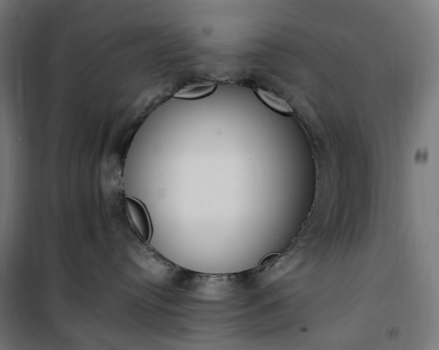 X0000100500384200806201720