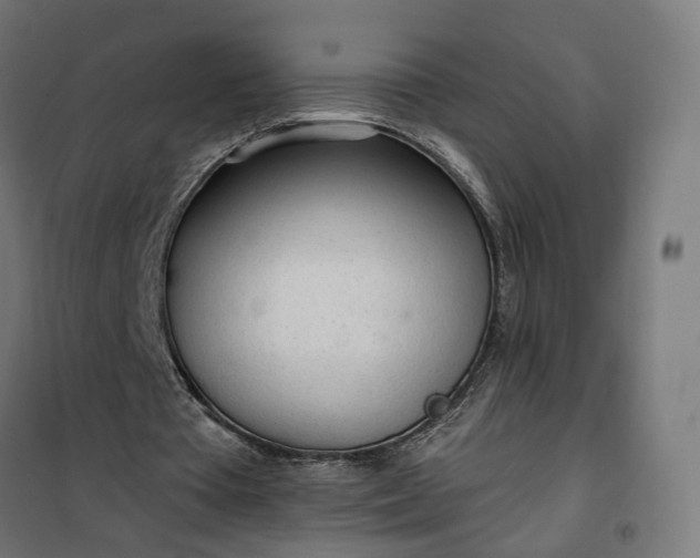 X0000100500385200806201720