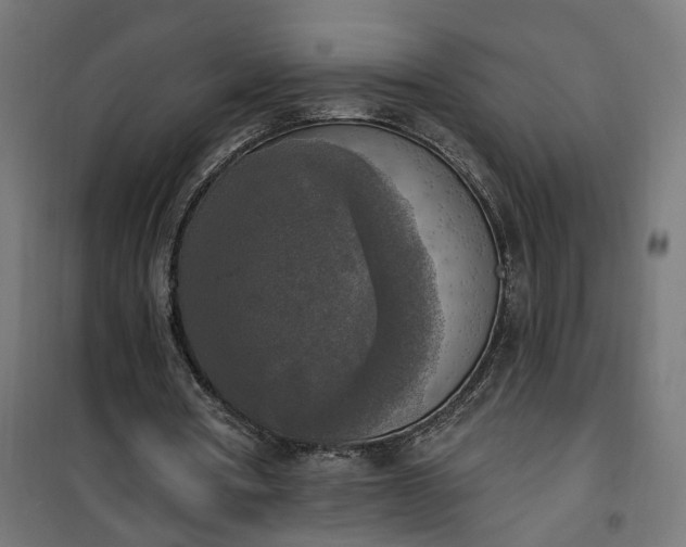 X0000100500386200806201720