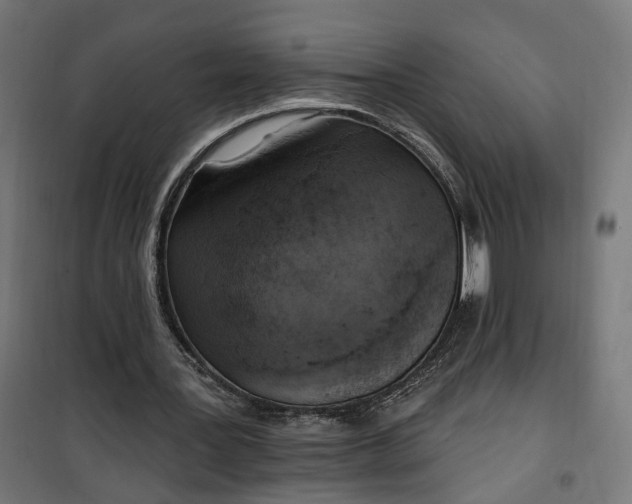 X0000100500387200806201720