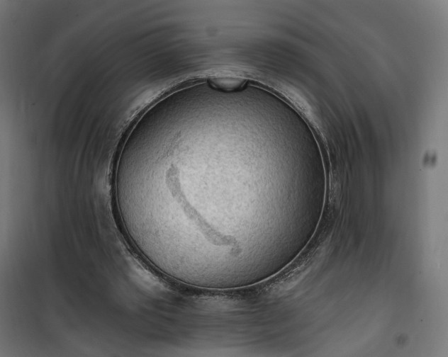 X0000100500389200806201720