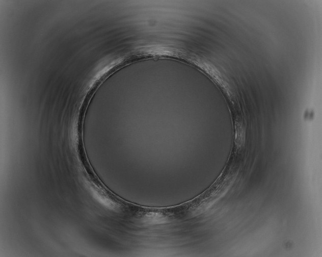 X0000100500390200806201720