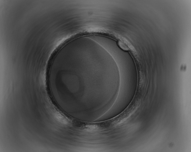 X0000100500391200806201720