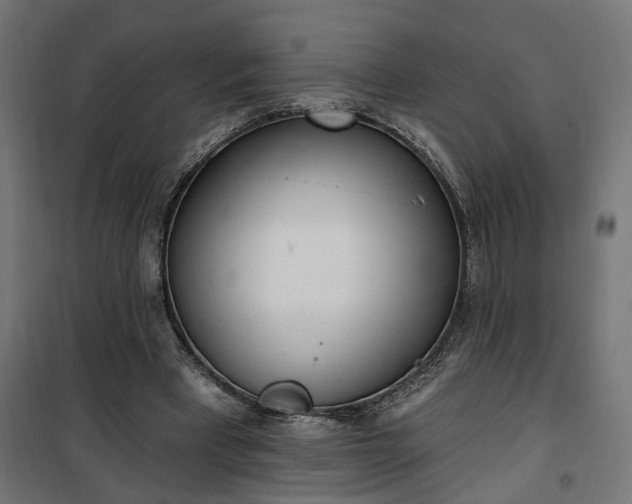 X0000100500393200806201719